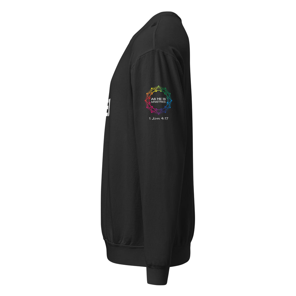 LFH Hyper Bold Unisex Garment-Dyed Fleece Crewneck Sweatshirt - Black